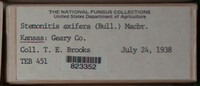 Image Associated With the Occurence